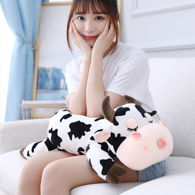 36a35b641ecc7a99c4ec8a52c5f74c11