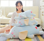 b115ac5d50e8f93a209ca026f9d5a9ee